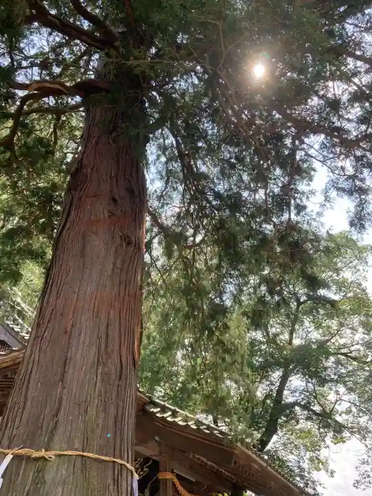 白瀧神社(群馬県)