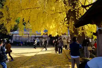 丹生酒殿神社(和歌山県)
