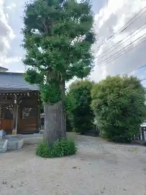 香取神社(埼玉県)