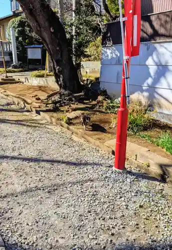 法華経寺の動物