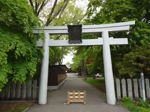 亀田八幡宮の鳥居