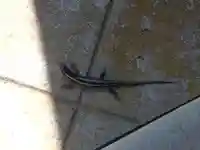 常光寺(福井県)