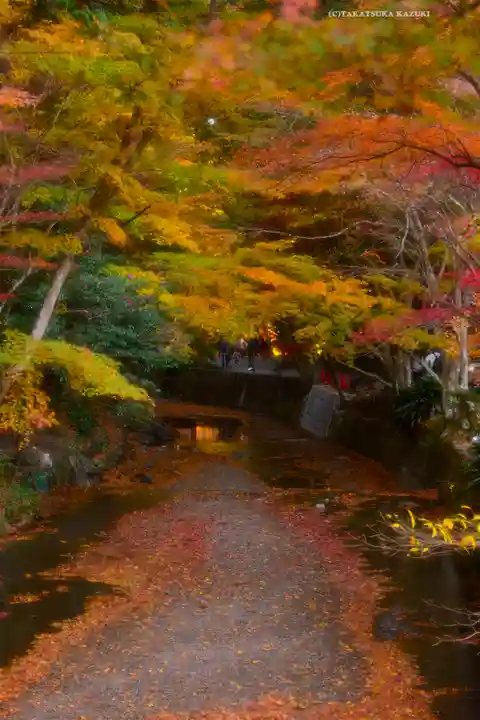 小國神社(静岡県)