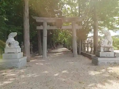 積田神社の狛犬