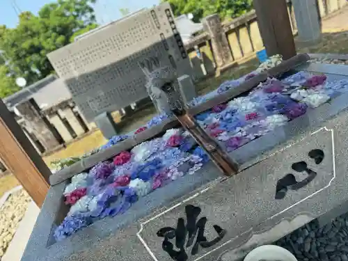 粟井神社の{uncategorized: "未分類", other: "その他", undefined: "問題あり", building: "その他建物", grave: "お墓", sacred_gate: "鳥居", guardian: "狛犬", statue: "像", buddha: "仏像", history: "歴史", nature: "自然", garden: "庭園", animal: "動物", pagoda: "塔", temizu: "手水舎", mountain_gate: "山門・神門", sanctuary: "本殿・本堂", subordinate: "末社・摂社", art: "芸術", scenery: "景色", jizo: "地蔵", ema: "絵馬", goshuin: "御朱印", omikuji: "おみくじ", items: "授与品その他", amulet: "お守り", goshuincho: "御朱印帳", eats: "食事", festival: "お祭り", votive_dance: "神楽", shichigosan: "七五三参", wedding: "結婚式", experience: "体験その他", initially: "初詣", around: "周辺", anti_infection: "感染症対策"}