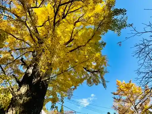 土津神社｜こどもと出世の神さまの自然