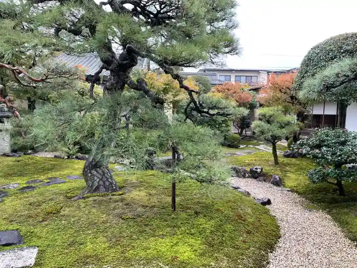 妙顯寺(妙顕寺)(京都府)
