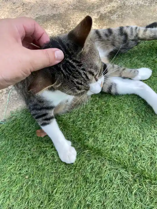 王子神社(徳島県)