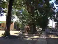 天地神社の自然