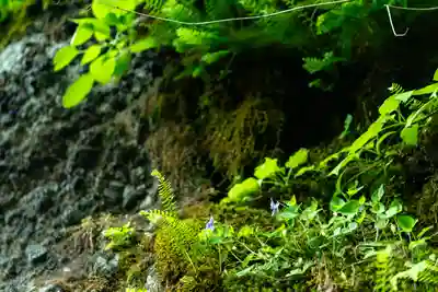 戸隠神社九頭龍社(長野県)
