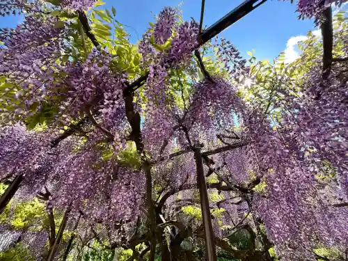 白毫寺熊野権現社(兵庫県)