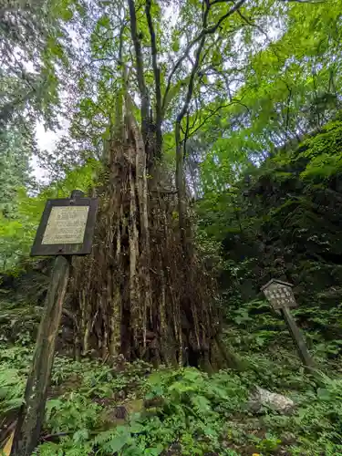 加蘇山神社 奥ノ宮の自然