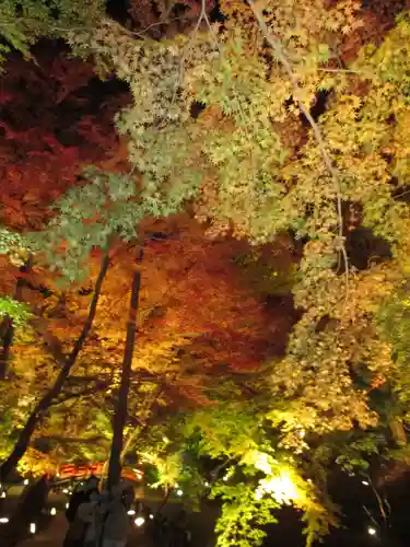 北野天満宮の庭園