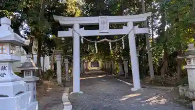 八幡神社(滋賀県)