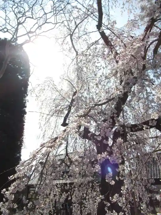 慶龍寺(茨城県)