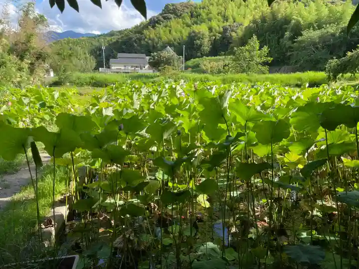 浄瑠璃寺(愛媛県)