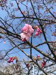 大生郷天満宮の自然