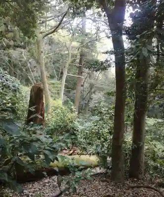 冨士浅間神社(東京都)