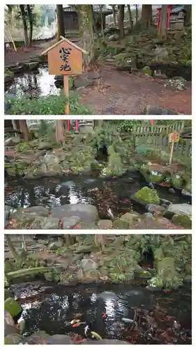 八幡朝見神社の動物