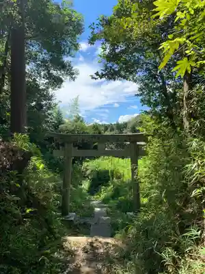 八幡神社(千葉県)