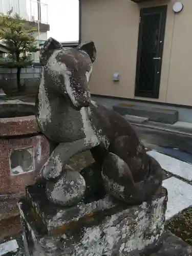 徳島稲荷神社の狛犬