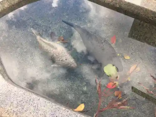 横手神明社(秋田県)