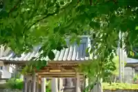 朝日寺(新潟県)