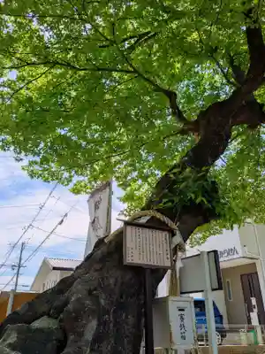 田光八幡社(愛知県)