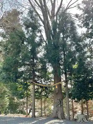 八幡神社(滋賀県)