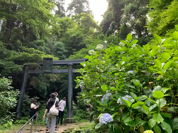 太平山神社の鳥居