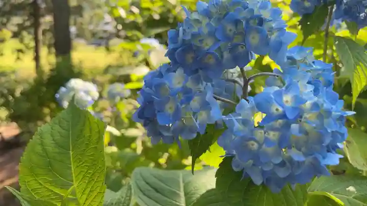 深妙寺(長野県)