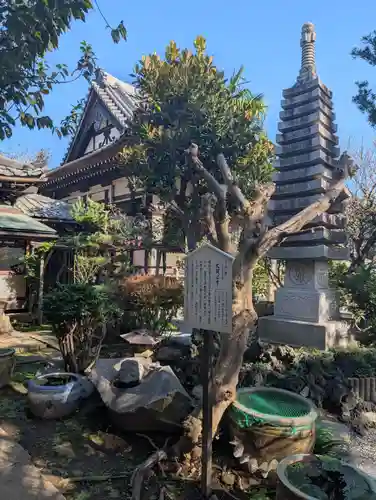宝珠院(千葉県)