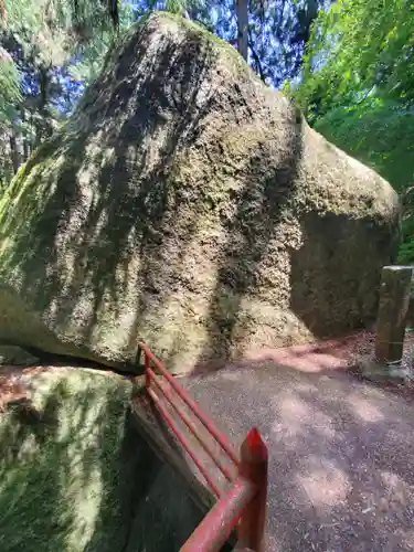 名草厳島神社の自然