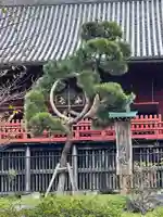 清水観音堂の庭園