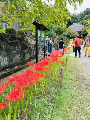 横浜　西方寺(神奈川県)