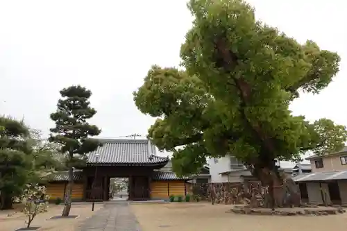 金倉寺の建物その他