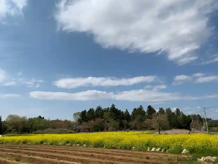 白山神社の周辺