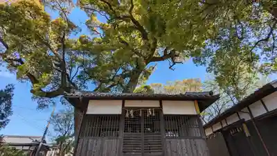 常磐神社(京都府)