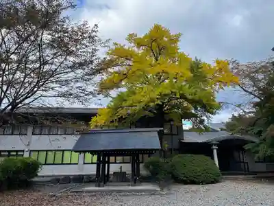 岩手護國神社(岩手県)