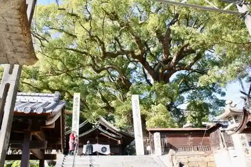 艮神社の自然