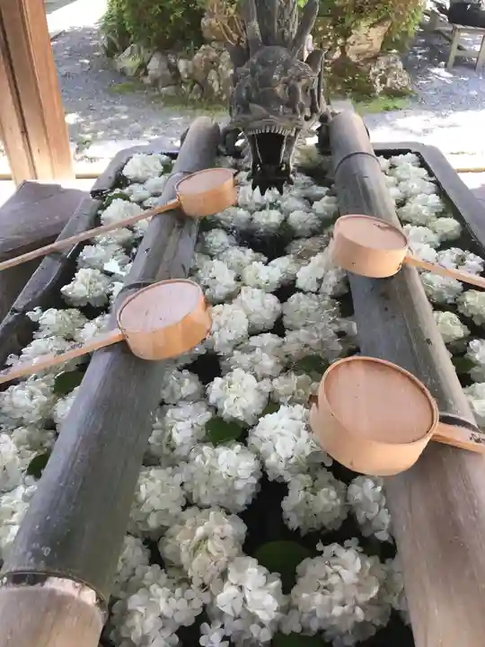 柳谷観音 楊谷寺の手水舎