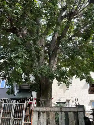 溝旗神社（肇國神社）(岐阜県)