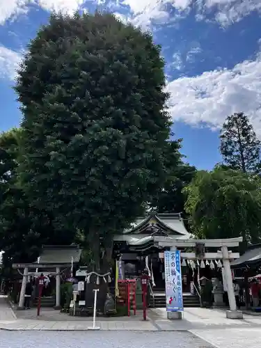 川越八幡宮の鳥居