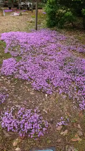 湊稲荷神社の庭園