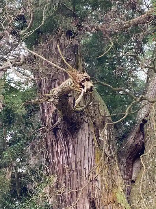 高岡神社(岡山県)