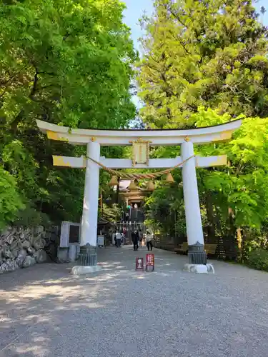 宝登山神社(埼玉県)