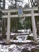 八幡神社(樺八幡神社)(福井県)