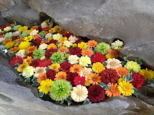 深江神社(福岡県)