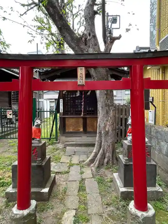 茶ノ木稲荷社(東京都)