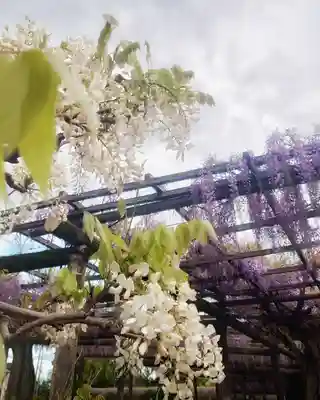 秋葉神社の自然